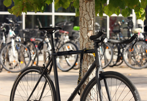 Cycling in Krakow