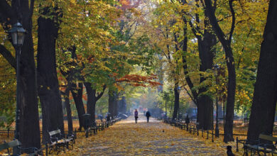 Planty park in Krakow