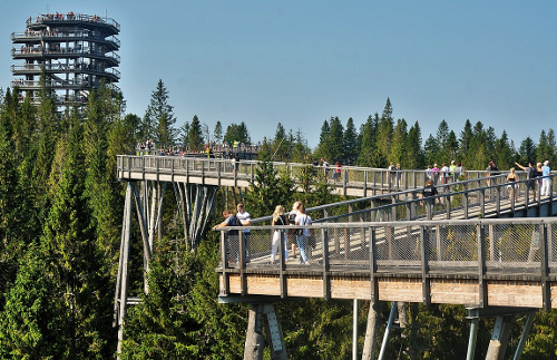 Slovakia Treetop Walk, Zakopane & Thermal Spa from Krakow