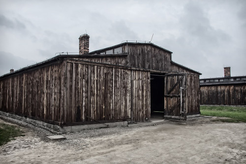 Auschwitz 2 prisoners