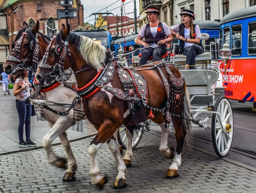 Best Way to Get Around Krakow