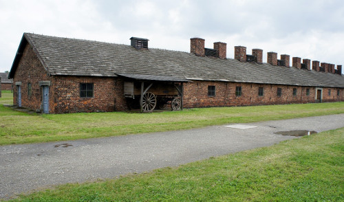 Guided tours of Auschwitz