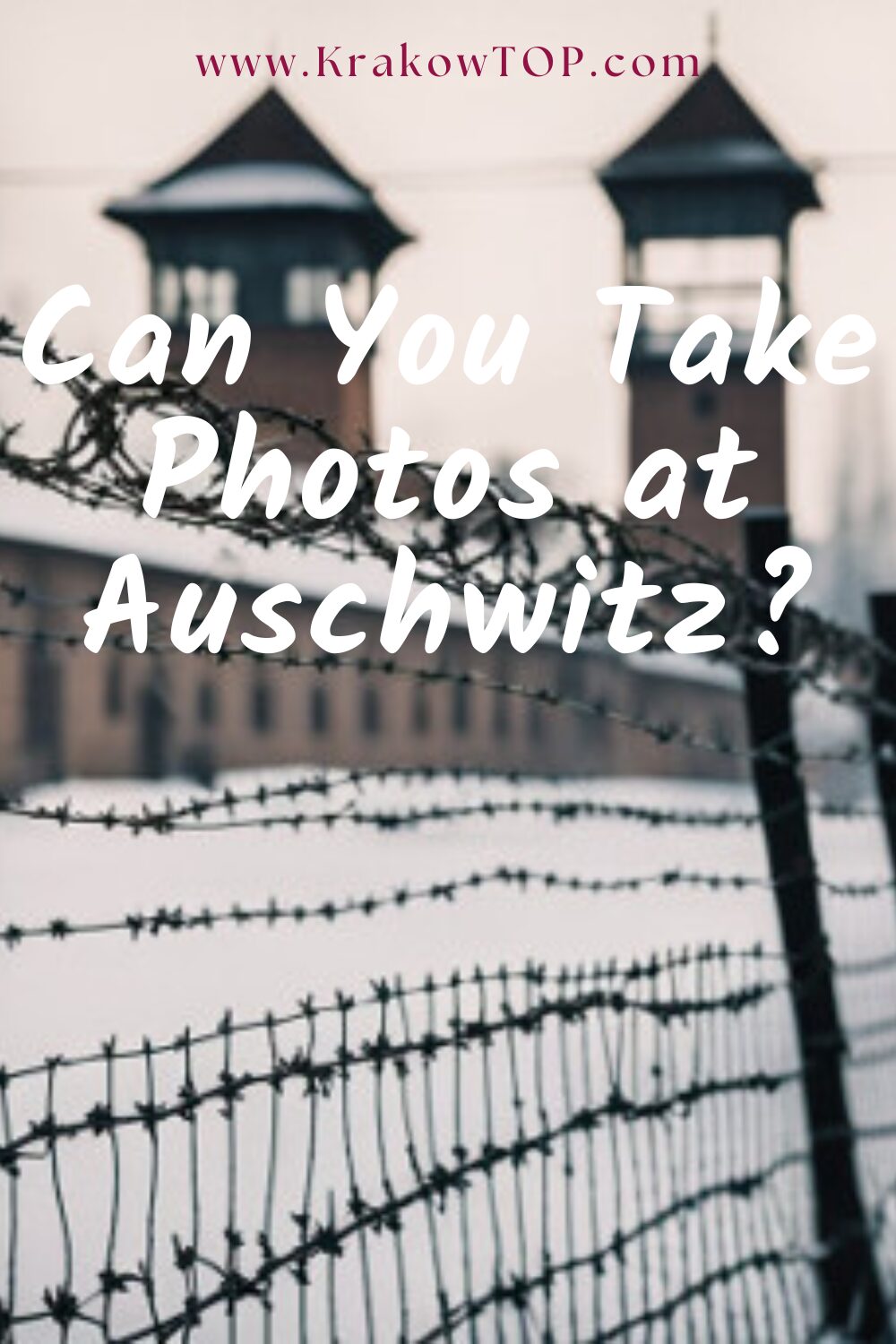 Photos at Auschwitz