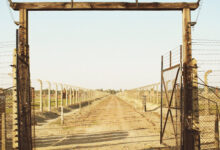 Krakow Auschwitz-Birkenau Full-Day Guided Tour