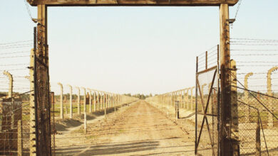 Krakow Auschwitz-Birkenau Full-Day Guided Tour