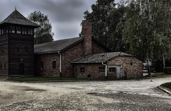 Language preferences Auschwitz tour