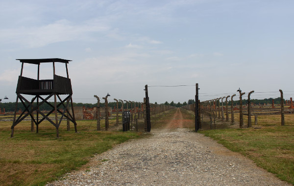 Etiquette at Auschwitz