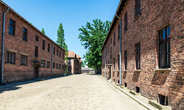 Auschwitz Birkenau English Guided Tour