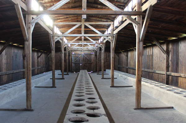 Auschwitz Learning from Exhibitions