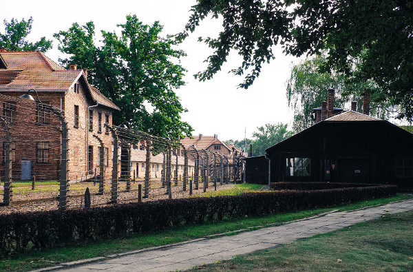 Exploration of Auschwitz-Birkenau from Warsaw