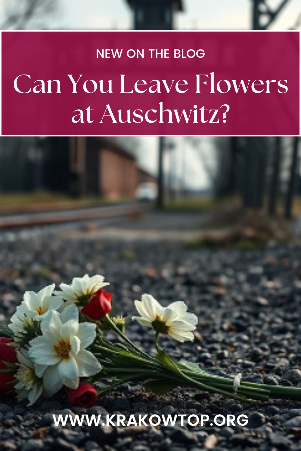 Leaving flowers at Auschwitz guide