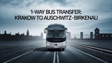 Krakow 1-Way Bus Transfer to from Auschwitz-Birkenau