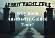 Why book Auschwitz guided tour