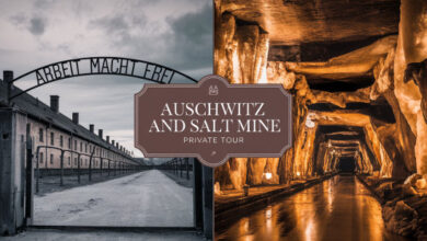 Auschwitz and Salt Mine Private Tour