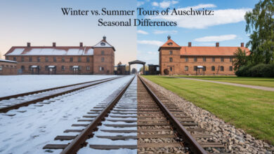 Winter vs. Summer Tours of Auschwitz